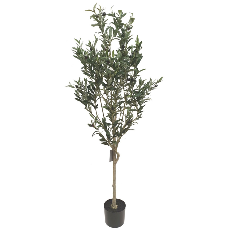 Artificial Olive Tree NZ  Available Online – Decor Flowers