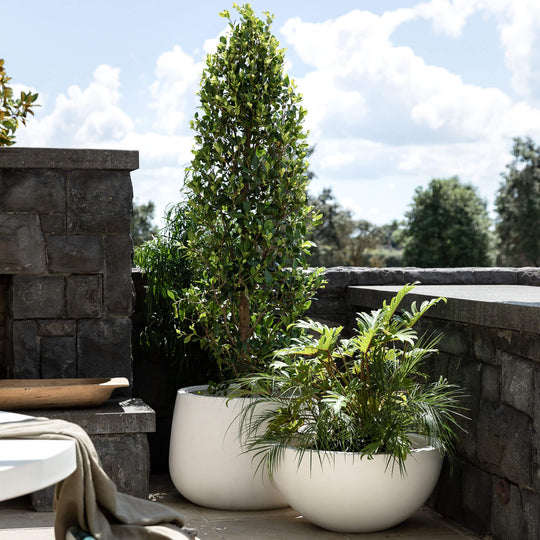 OUTDOOR POTS & PLANTERS