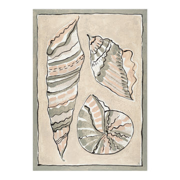 Fine Art Print - Cove Shells