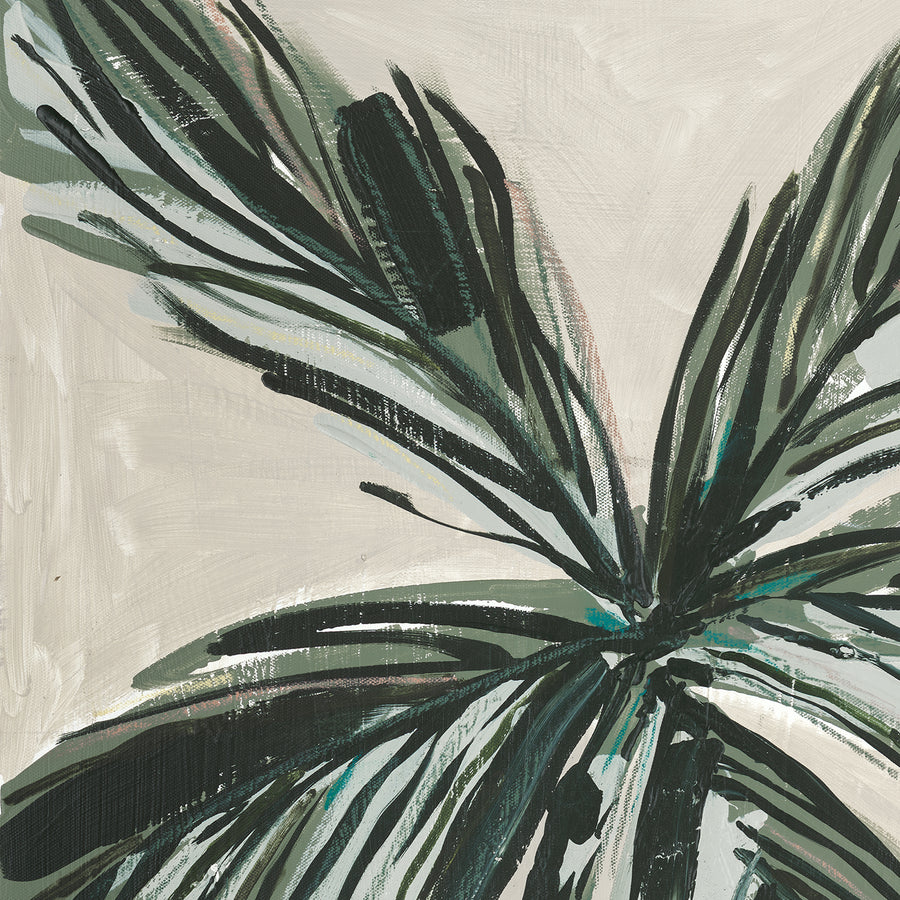 Fine Art Print - Paradise Palm