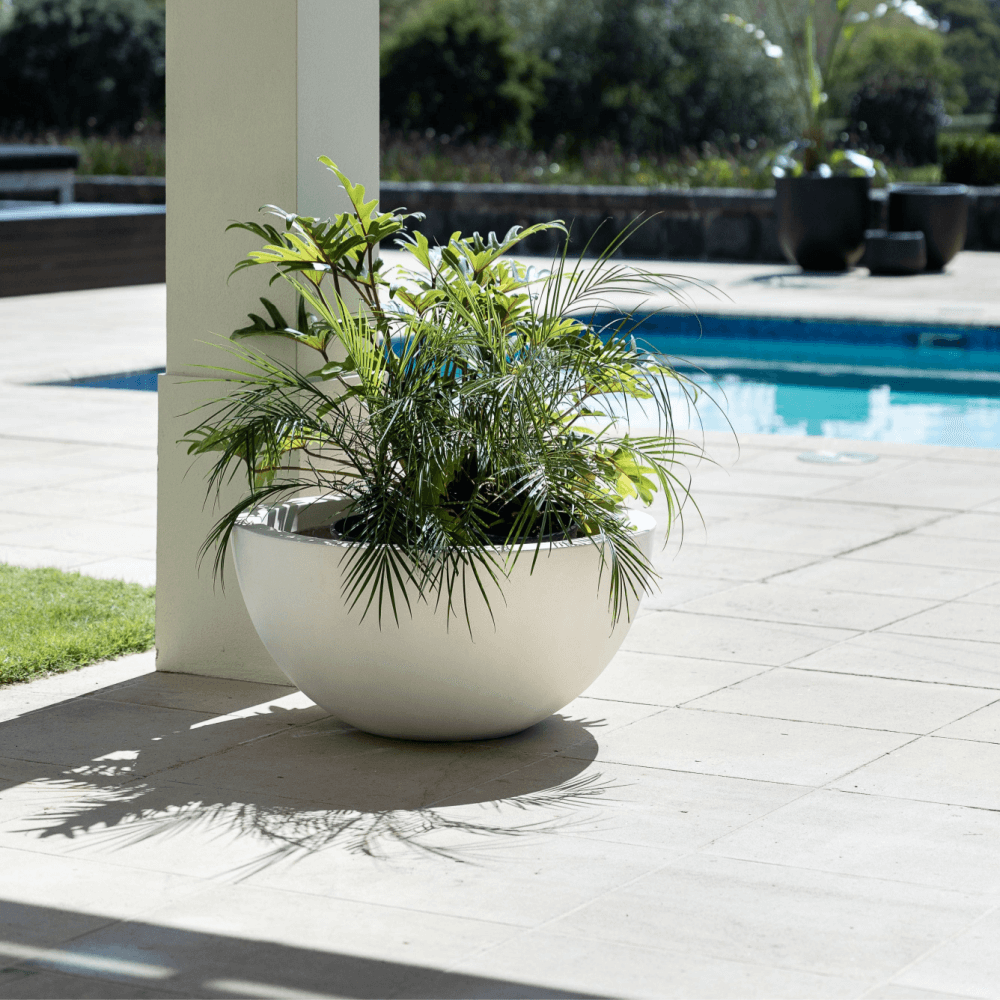 Westhampton Low Bowl White Concrete Pot - Large | Coastal Style NZ